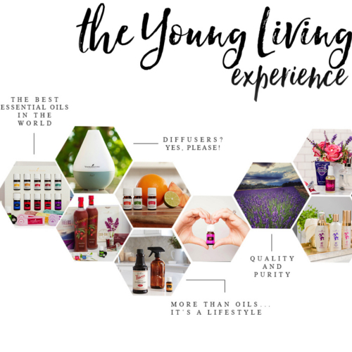 Young Living Essential Oils at Revive Salon & Spa Studio